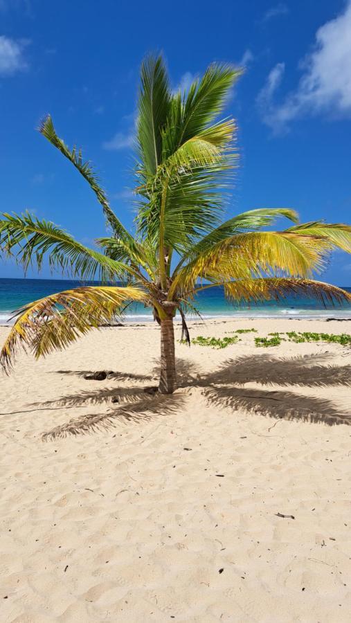 Studio Plage De L'Anse Caritan 생트안느 외부 사진