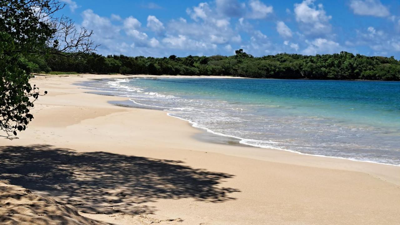 Studio Plage De L'Anse Caritan 생트안느 외부 사진